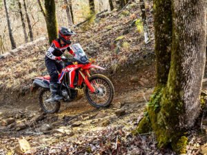 CRF300L Rally for Sale