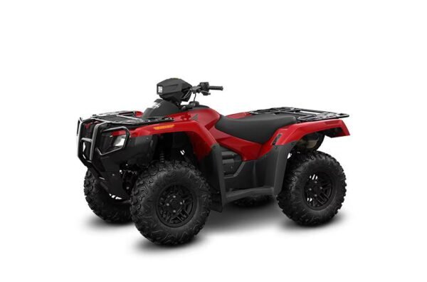 Honda FourTrax Rubicon 700 4x4 Automatic for sale