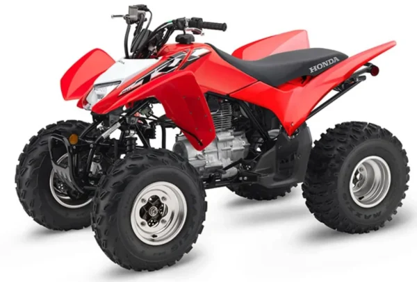 honda trx250x for sale_